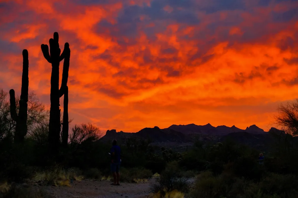 An exterior scene featuring striking cacti silhouettes against a dramatic sky, evoking a sense of place and outdoor beauty. The landscape suggests a tranquil, spacious setting ideal for gatherings and memorable photo opportunities.